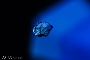 This corroded crystal guest in a Burmese sapphire represents a protogenetic inclusion, one that existed before the sapphire itself.
