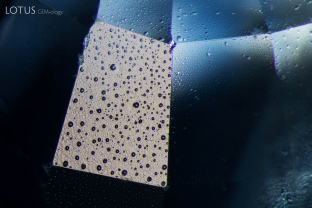 Spall marks from heating on the pavilion of a heat-treated Kashmir (India) sapphire.