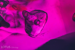 A mobile bubble within a negative crystal in a ruby from Madagascar. Such inclusions cannot withstand heat treatment and thus are proof of natural origin.