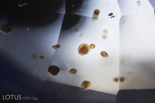 Phlogopite mica in untreated Ceylon sapphire.