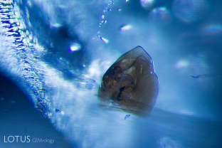 Phlogopite mica in untreated Ceylon sapphire.