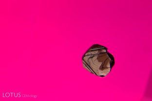 Chalcopyrite crystal floating in the Red Sea of a ruby from Montepuez, Mozambique.