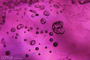 Flattened gas bubbles and faint flashes of color are seen in glass-filled fissures within this heavily treated ruby.