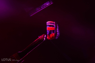 Amphibole rods with orange staining are a pleasant surprise within an untreated ruby from Mozambique’s Montepuez mines.