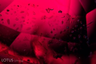 Plane of transparent birefringent crystals (possibly calcite) in a spinel from Myanmar’s Mogok Stone Tract.