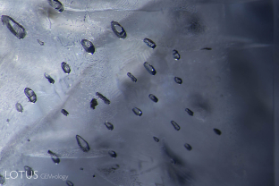 Well-formed negative crystals are a common feature of unheated sapphires from Sri Lanka. These will frequently contain CO2 bubbles.