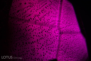 A fingerprint within a rare untreated ruby from Mong Hsu, Myanmar. Most Mong Hsu rubies are heat treated, often with flux, and the individual negative crystals within the fingerprint become more rounded.