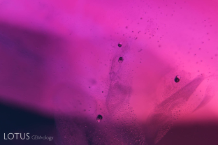 Melted crystals with frozen gas bubbles, along with titanium internal diffusion (blue areas).