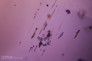 Like balloons on a string, these unusual crystals of what may be apatite with attached growth tubes, along with a negative crystal, enrich the interior of this purple star sapphire from Sri Lanka.