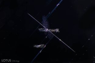 Stellate (star-like) dislocations with tiny crystals decorate the interior of this violet spinel from Vietnam’s Luc Yen district. These may sometimes alter to högbomite.