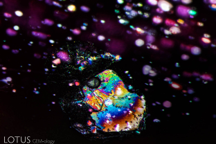A melted crystal and surrounding fingerprint form a 