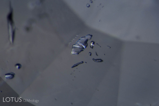Negative crystals in sapphires from Sri Lanka frequently contain trapped daughter crystals within their liquid carbon dioxide fillings. Hexagonal graphite flakes are common, as are slender diaspore needles. In this image, the stone is examined between parallel polars and as it is turned, the tiny diaspore needles become iridescent, thus demonstrating their doubly refractive solid nature.