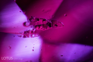 This hot pink sapphire from Vietnam’s Luc Yen district contained small birefringent crystals with tiny embedded green crystal inclusions.
