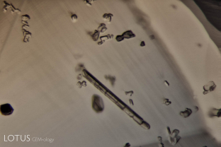 Tiny birefringent crystals in a Madagascar sapphire.