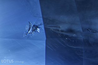 Winged zircon crystal hovering within a sapphire from Myanmar’s Mogok Stone Tract.