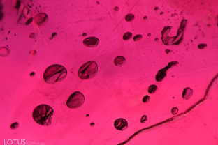 Flattened gas bubbles in a glass-filled fissure in a lead glass filled ruby.