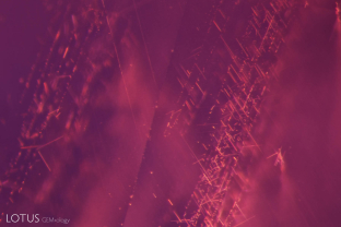 Short needles and exsolved particles in a spinel from Mahenge, Tanzania. Clouds of dust-like particles are typical for Mahenge spinel.