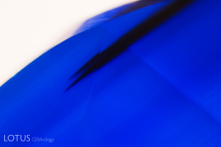 A deep blue color zone is visible in this Madagascar sapphire. Note that the deep blue zone is devoid of turbidity, while the surrounding area is extremely cloudy. This shows a lack of internal diffusion and thus offers evidence that the stone has not been subjected to high-temperature heat treatment.