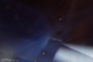 Tiny red uranium pyrochlore crystals glow in this sapphire from Pailin, Cambodia. These  crystals are a diagnostic inclusion for magmatic sapphires.