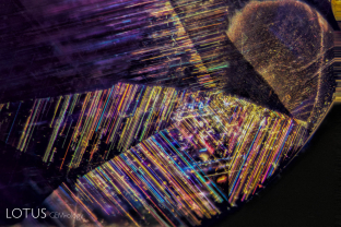 Exsolved rutile silk lights up the interior of this natural blue sapphire from Sri Lanka. It is these inclusions that give rise to the stars in cabochon-cut stones.