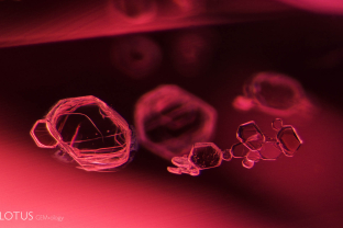 Transparent crystals in a spinel.