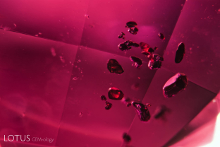 Dark orange primary rutile crystals are seen against a backdrop of smaller rounded zircon crystals. This combination rules out Mozambique as an origin, thus showing that this ruby is from Ambodivoahangy, Madagascar. The undamaged nature of the zircons also tells us the stone has not been heat-treated at a high temperature.