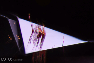 Orange-stained growth tubes protrude from a facet in this cobalt-blue spinel from Sri Lanka.