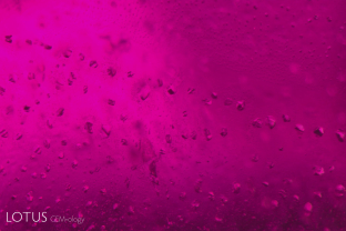 Tajik rubies often display well-healed fissures with coarse negative crystals, such as that seen here.