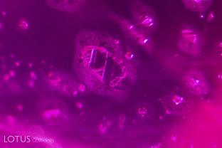One of the hallmarks of Tajik rubies are these flat negative crystals with accretion halos.