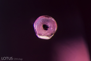 This “belly button” apatite crystal is a classic inclusion in spinel. The black belly button is a crystal of either ilmenite or graphite on the surface of the rounded apatite crystal. These are common features of spinels from both Myanmar and Sri Lanka.