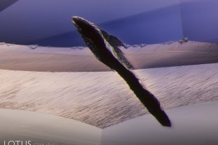 A narrow and deeply indented natural on the girdle of a Madagascar sapphire. These features are quite common on Madagascar sapphires of all colors.