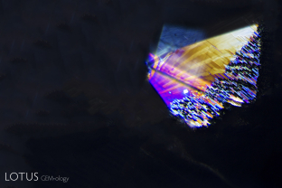 A butterfly takes flight within the inner space of a sapphire from Serendib. Iridescent healed fissure.