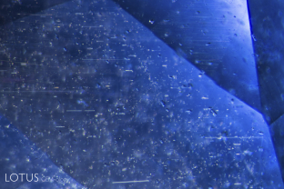 Multitudes of rounded zircons were found in this blue sapphire from Madagascar, along with undissolved rutile silk. 