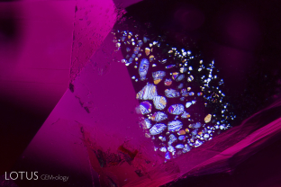 A lovely “rosette” inclusion lights up the interior of this ruby from Montepuez, Mozambique. These inclusions consist of tiny negative crystals flattened in the basal plane, and become iridescent when illuminated in reflected light.