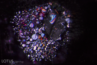 A lovely rosette inclusion surrounds a mica crystal in this ruby from Mozambique’s Montepuez region. This “rosette” actually consists of negative crystals flattened in the plane of basal pinacoid (perpendicular to the c axis).