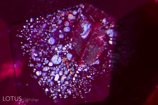 A lovely rosette inclusion surrounds a mica crystal in this ruby from Mozambique’s Montepuez region. This “rosette” actually consists of negative crystals flattened in the plane of basal pinacoid (perpendicular to the c axis).