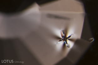 This birefringent crystal lights up under crossed polars in its host, a cobalt blue Sri Lankan spinel.