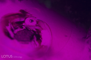 A melted crystal with a frozen gas bubble betray the fact that this ruby from Madagascar was subjected to heat treatment. Note also the tension fracture around the crystal, resulting from the crystal’s expansion during heat treatment.