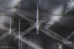 Stellate dislocations decorate the interior of this spinel from Vietnam’s Luc Yen district. These may sometimes alter to hogbomite.