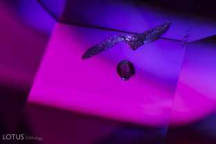 Small mica crystals fly across a shocking pink backdrop in this Mozambique ruby.