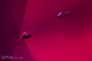 Amphibole crystals trapped in the crimson clutches of a ruby from Mozambique’s Montepuez mines.