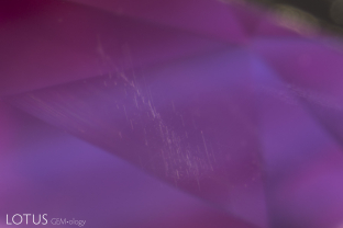 Undissolved rutile silk in fine needles is seen against a backdrop of fine exsolved particles in this padparadscha sapphire from Sri Lanka.