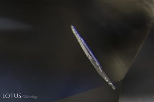 Elongated negative crystal in a yellow sapphire from Sri Lanka.
