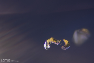 C-shaped crystals with faint growth zoning in the background of this sapphire from Madagascar. Irregular crystals such as this are a common sight in Madagascar sapphire.