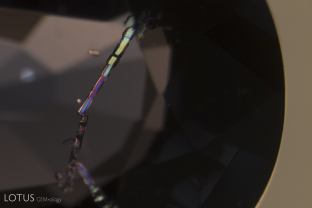 Doubly refractive crystals light up with colorful interference colors when viewed between crossed polars in this dark blue spinel from Ceylon.