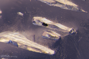 A black graphite crystals is encapsulated in one of these negative crystals in an unheated Sri Lankan sapphire.