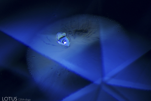 A frozen gas bubble shines in a negative crystal in this heated basaltic sapphire. When illuminated from some angles, there is a visible fissure surrounding the crystal, providing further evidence of heat treatment.