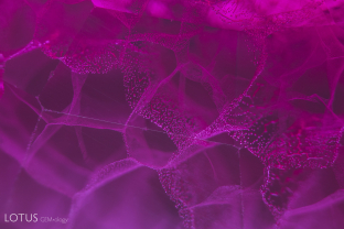 This Verneuil ruby synthetic was quench crackled and then flux heated to heal the fissures. Note the “honeycomb” pattern of the fissures, which is a telltale sign of quench crackling, which is when a stone is put under thermal shock to induce fissures.