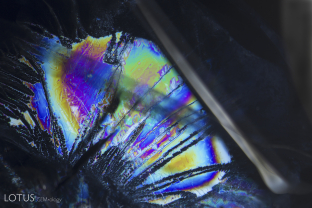 Striking iridescence in a healed fissure within an unheated Burmese sapphire.