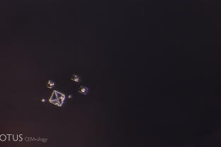 Cluster of tiny spinel octahedra in a spinel from Sri Lanka. These are a common sight in spinels from a variety of locations.